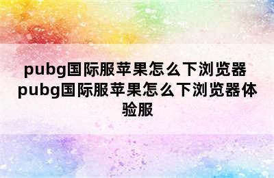 pubg国际服苹果怎么下浏览器 pubg国际服苹果怎么下浏览器体验服